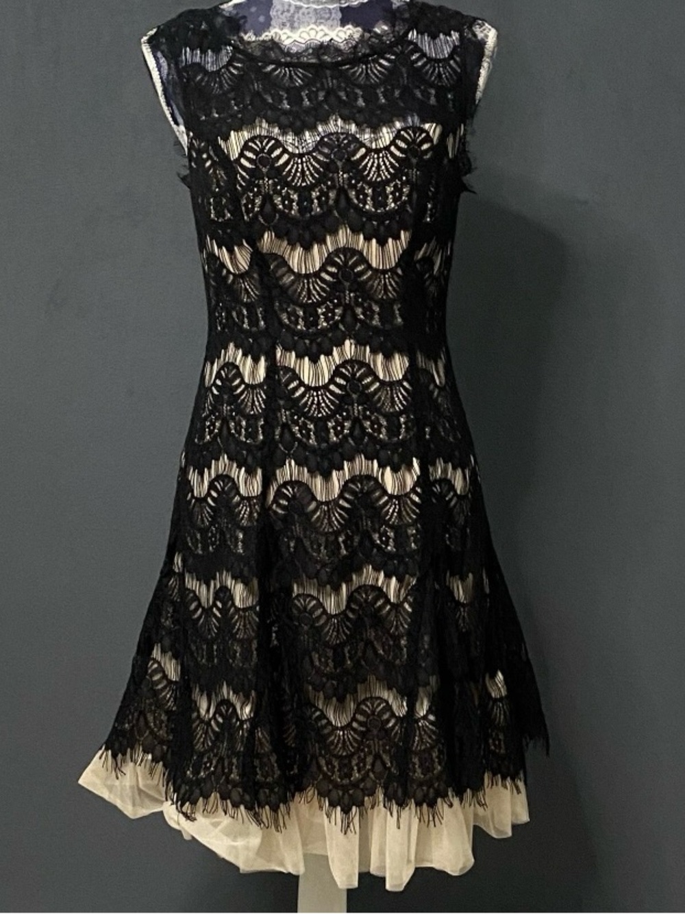 Womens Black Lace Dress Dark Romantic Fit and Flare Mini Size 8